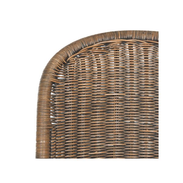 Tana Wicker Side Chair (Set of 2) - SEA8009 - Safavieh - Image 18