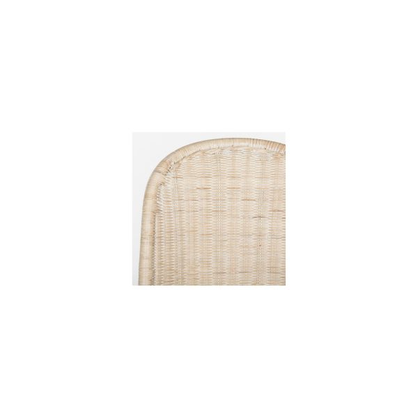 Tana Wicker Side Chair (Set of 2) - SEA8009 - Safavieh - Image 25